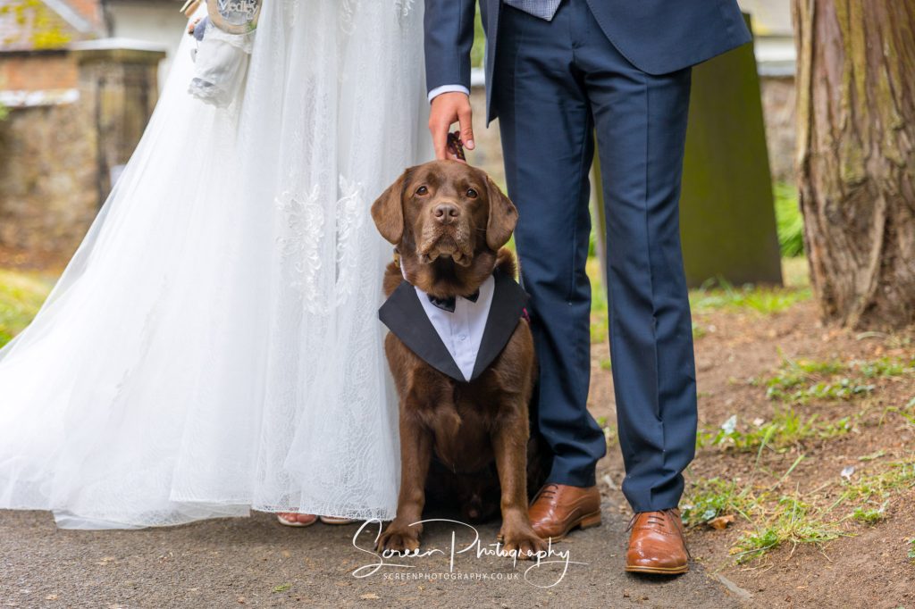 Canine dog wedding photograph with bride and groom K9
