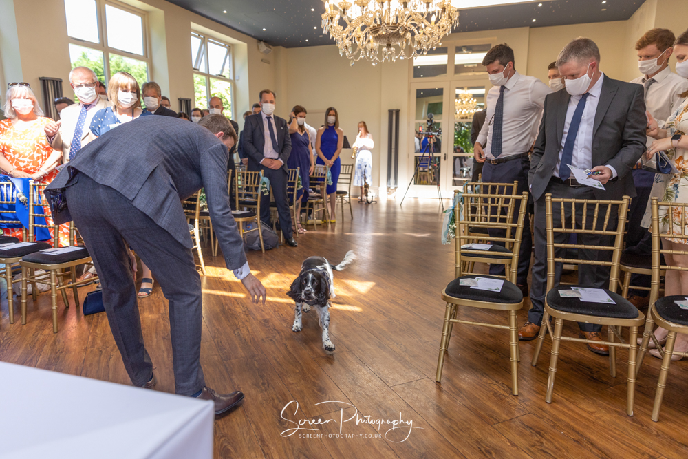 The Shottle Hall Estate Wedding Venue Derby Derbyshire pet dog walking down aisle ring bearer