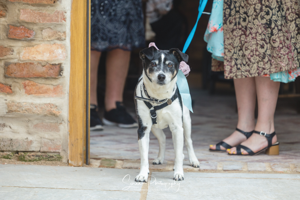 The Mill Hoveringham wedding barn watermill venue with water for married photos dog pet friendly DIY weddings notts Nottingham