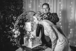 groom puching bride into wedding cake